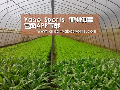 种植基地四