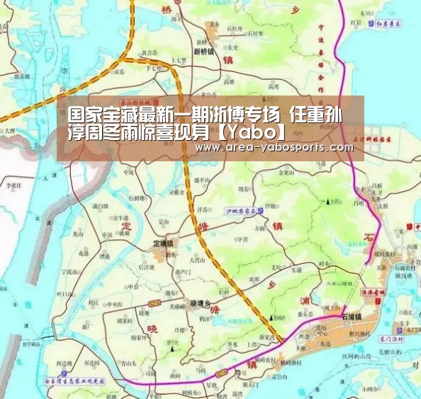 国家宝藏最新一期浙博专场 任重孙淳周冬雨惊喜现身【Yabo】(图2) 亚博