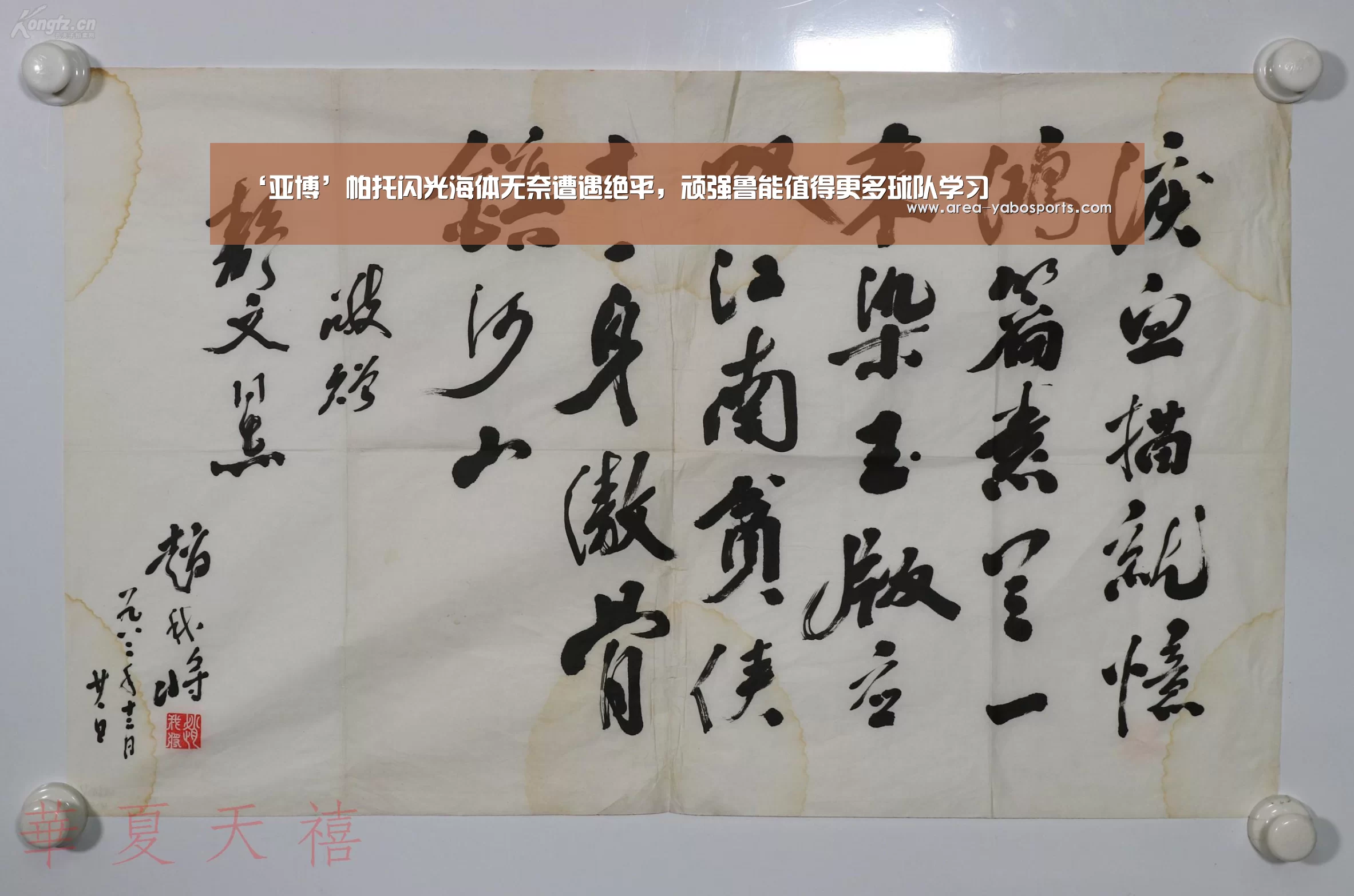 ‘亚博’帕托闪光海体无奈遭遇绝平,顽强鲁能值得更多球队学习(图1) 亚博官网